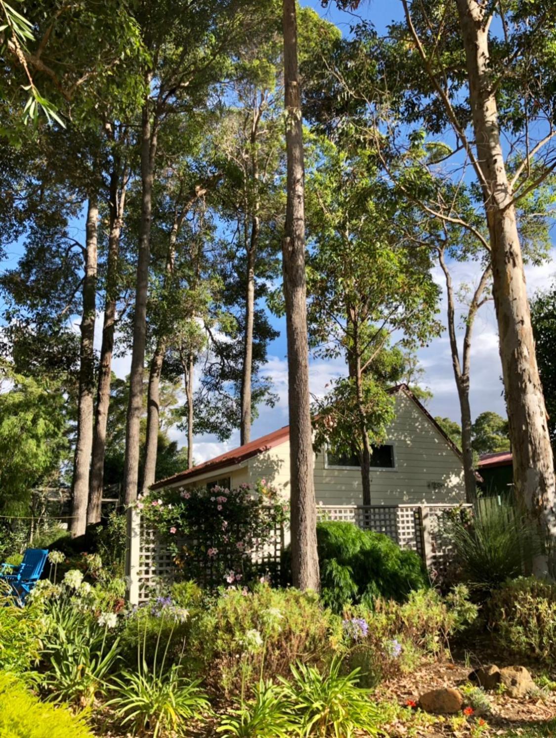 The Boulevard Garden Studio Margaret River Exterior photo